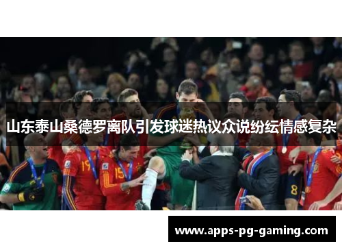 山东泰山桑德罗离队引发球迷热议众说纷纭情感复杂