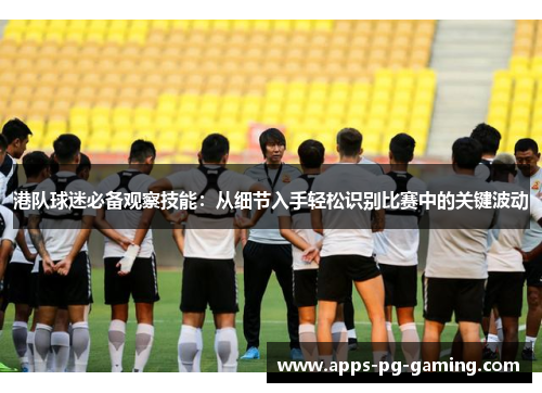 港队球迷必备观察技能：从细节入手轻松识别比赛中的关键波动