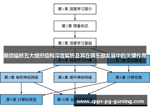 斯坦福桥五大组织结构深度解析及其在俱乐部发展中的关键作用