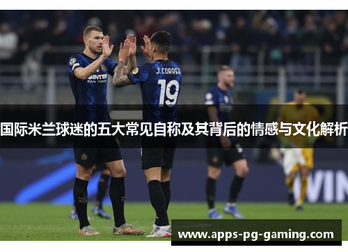 国际米兰球迷的五大常见自称及其背后的情感与文化解析