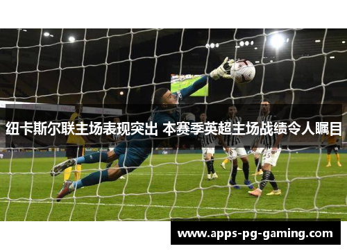 纽卡斯尔联主场表现突出 本赛季英超主场战绩令人瞩目