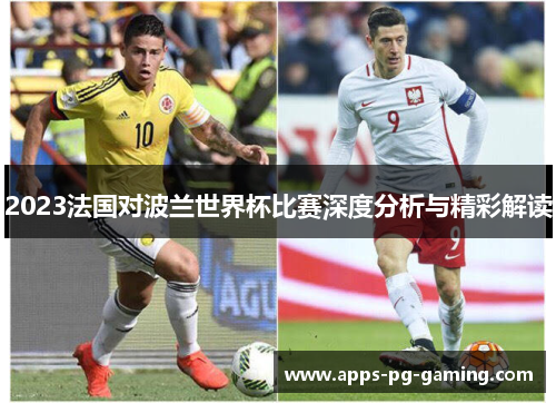 2023法国对波兰世界杯比赛深度分析与精彩解读
